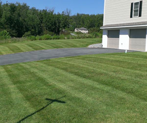 Lawn Striping