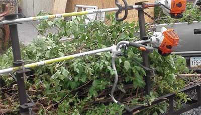 Brush Clearing Altoona PA Brush Removal Services