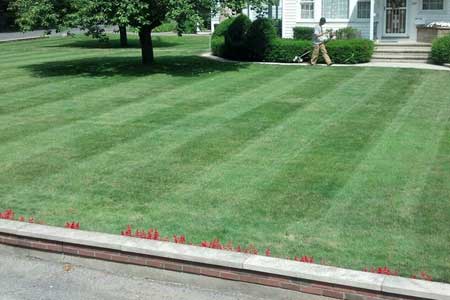 Lego Services Lawn Striping, Edging, Mowing and Clean Up all for One Affordable Rate.
