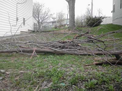 Yard Waste Removal Services