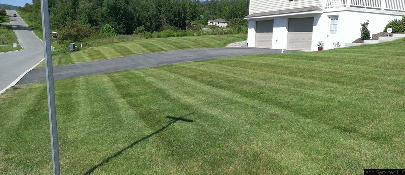 Lawn Care